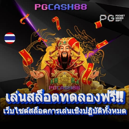 แพนด้า555