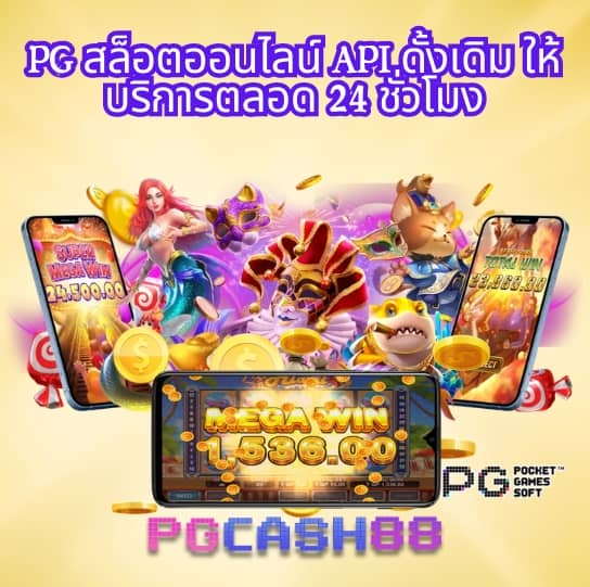 แพนด้า555